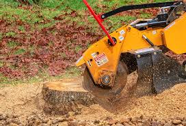 Best Tree and Shrub Care  in New Holstein, WI